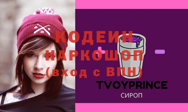 хмурый Аркадак