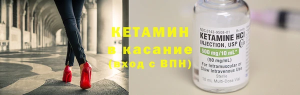 хмурый Аркадак