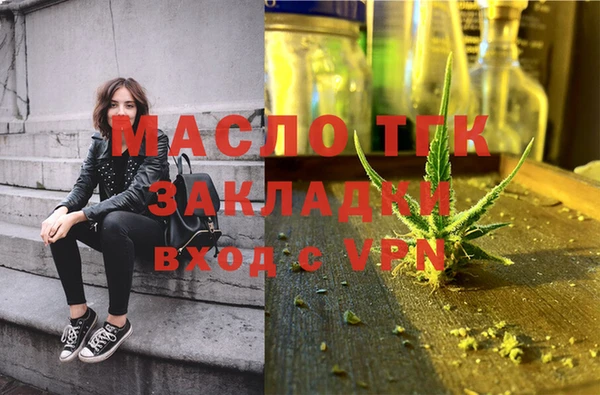 хмурый Аркадак