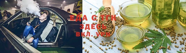 хмурый Аркадак