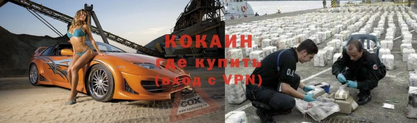 хмурый Аркадак
